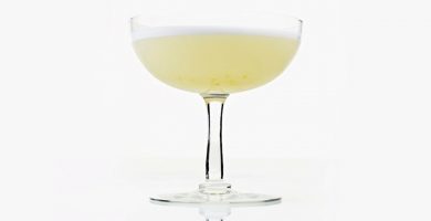 Gin Sour 5